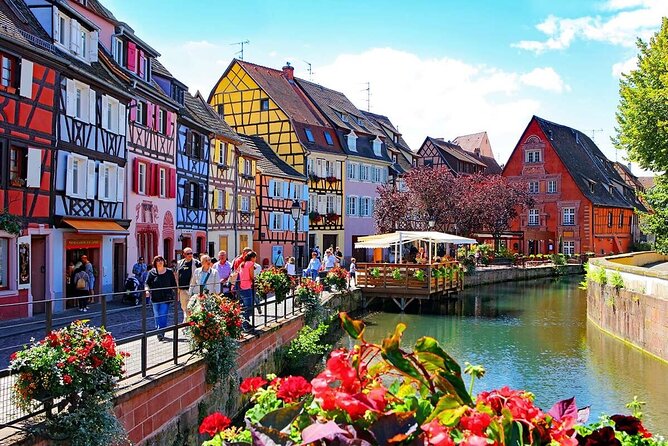 From Basel: Colmar Christmas Market & Wine Tasting Private Tour - Bio wine tasting in Colmar, why it feels like Alsace instead of a sales pitch