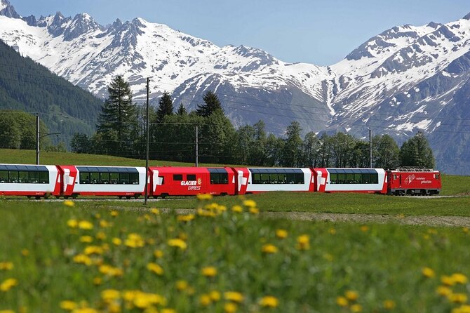 From Basel: Glacier Express, Swiss Alps Bern City in Private Trip - Private guide value: why this feels easier than doing it alone