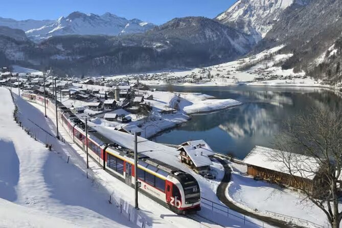 From Basel: Premium Panoramic train, Lucerne & Interlaken Tour - Key points before you go