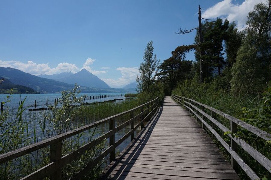 From Geneva: Full-Day Trip to Interlaken - Interlaken on foot: lakes, harbor views, and easy sightseeing