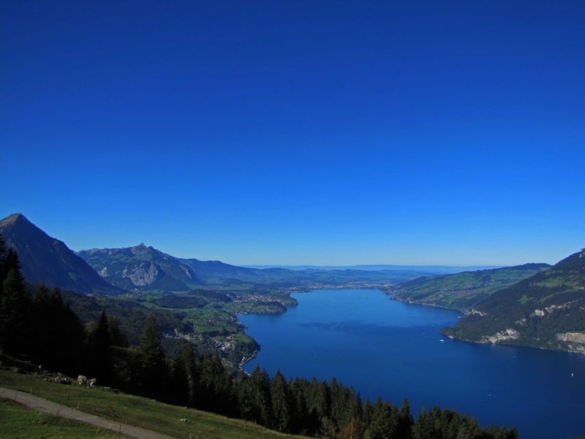 From Geneva: Paragliding and Interlaken Trip - Key highlights to know before you go