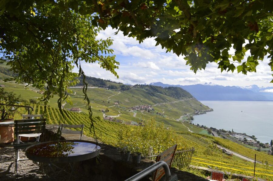 From Geneva: Swiss Riviera Private Tour - Price And Value: Is $636 Per Person Worth It?