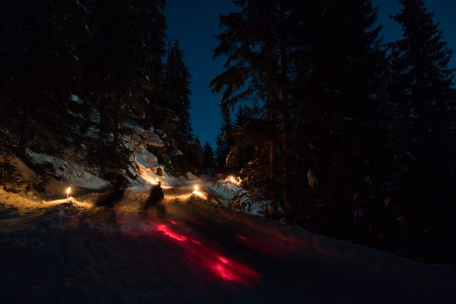 From Interlaken: Night Sledding - Who This Night Sledding Tour Fits Best (And Who Should Skip It)