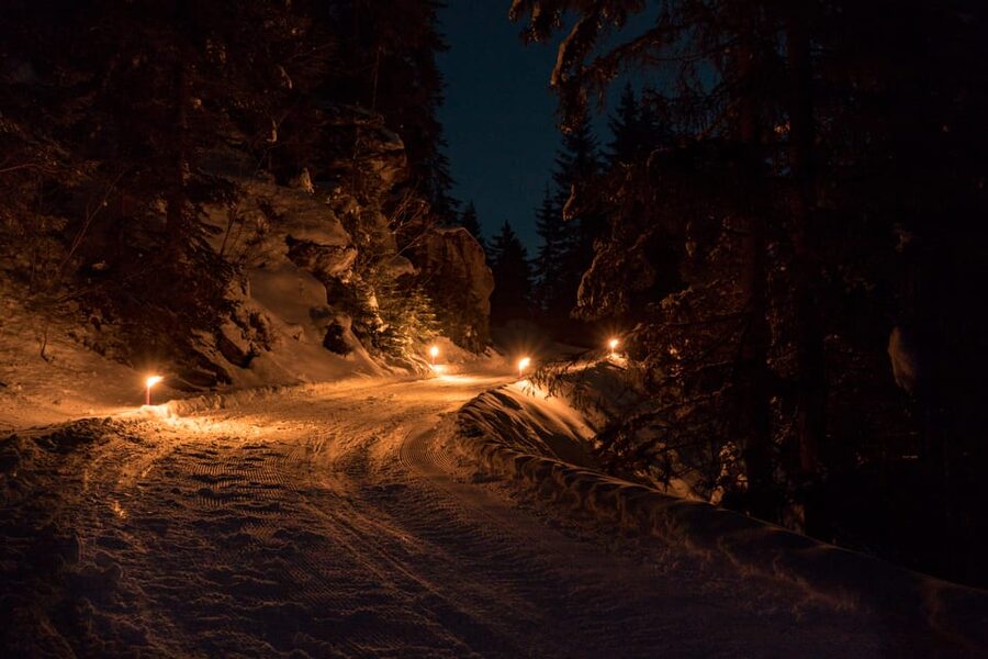 From Interlaken: Night Sledding - Gondola Time, Snow Conditions, and Why Location Can Change