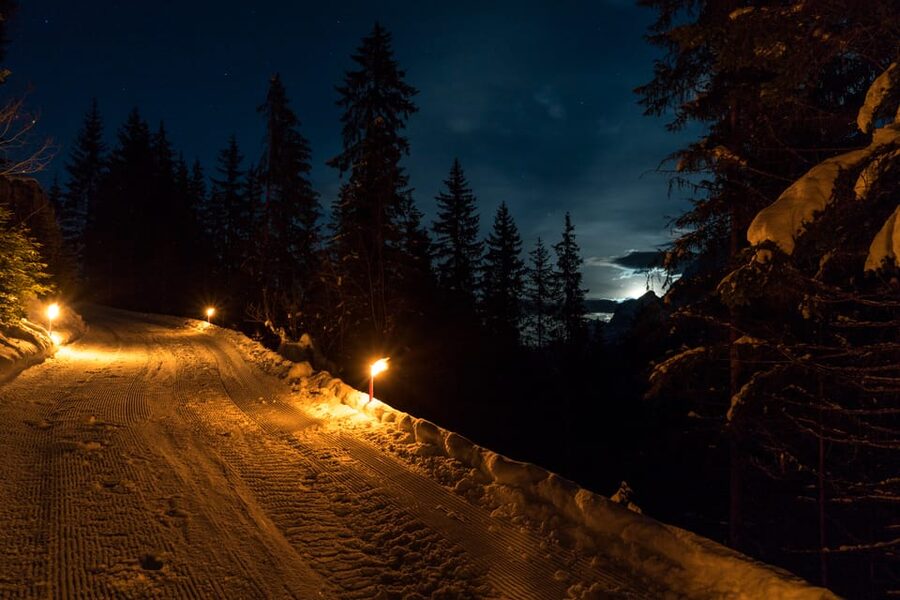 From Interlaken: Night Sledding with Cheese Fondue Dinner - Warm up after: cheese fondue and a drink that actually hits the spot