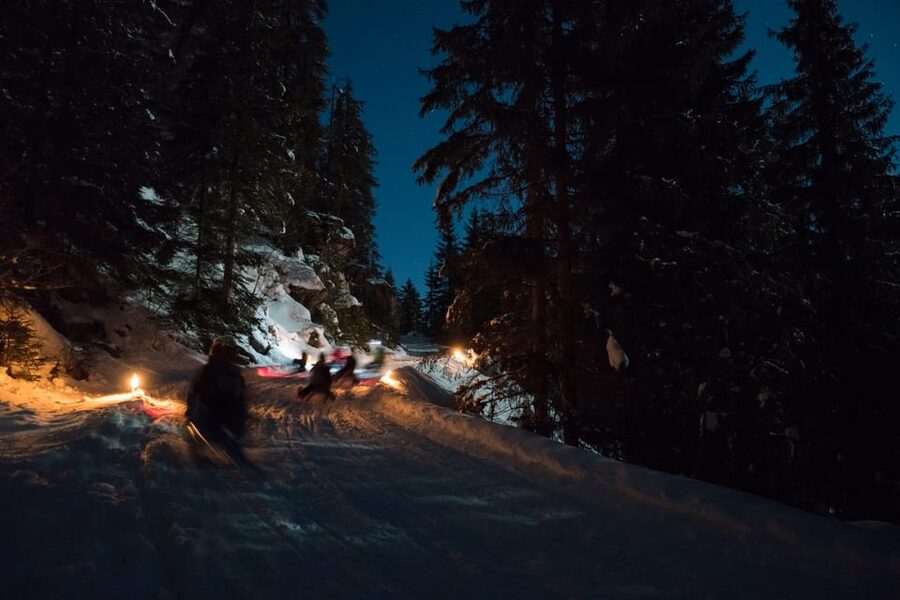 From Interlaken: Night Sledding - The 3-Hour Flow From Interlaken to the Alpine Run