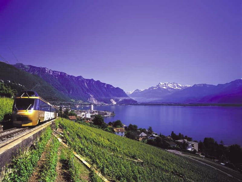 From Lausanne: Gruyères Tour with Train, Chocolate & Cheese - Gruyère museum and lunch: how the cheese gets made, then tasted