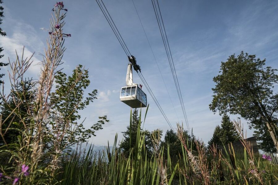 From Lucerne: Mount Rigi Day Trip with Cruise and Cable Car - Rigi Kulm summit time: 13 lakes, 620 peak count, and choices for how you spend the hour