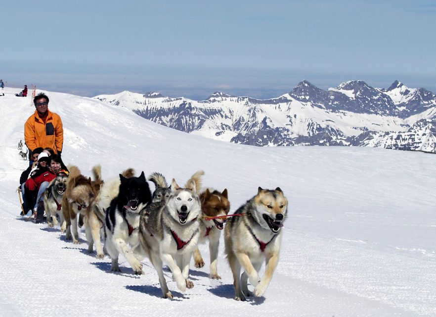 From Montreux: Glacier 3000 Day Trip - Price and value: is about $123 worth it?