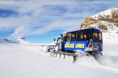 Glacier 3000 Day Trip