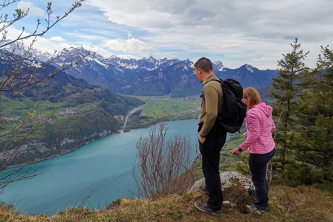 From Zurich: Breathtaking waterfall and lakes private tour - Price and logistics: what $3,133.77 per group really buys