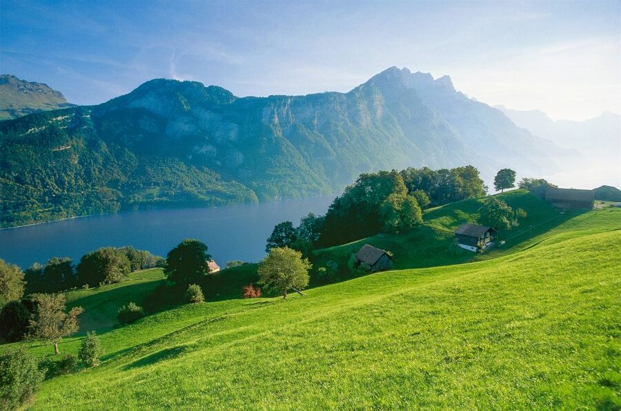 From Zurich: Bus Day Trip to Heidiland and Liechtenstein - Across Ricken Pass to Toggenburg: Alpine panoramas, real elevation, and lake-town vibes