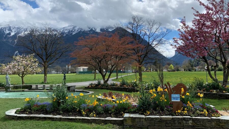 From Zurich: Crash Landing On You Locations in Interlaken - Price and Time: What $362 Buys You on This 10-Hour CLOY Route