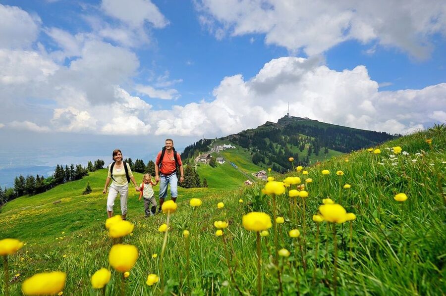 From Zurich: Day Trip to Rigi and Lake Lucerne - Carbon balanced travel, and what that means in your day