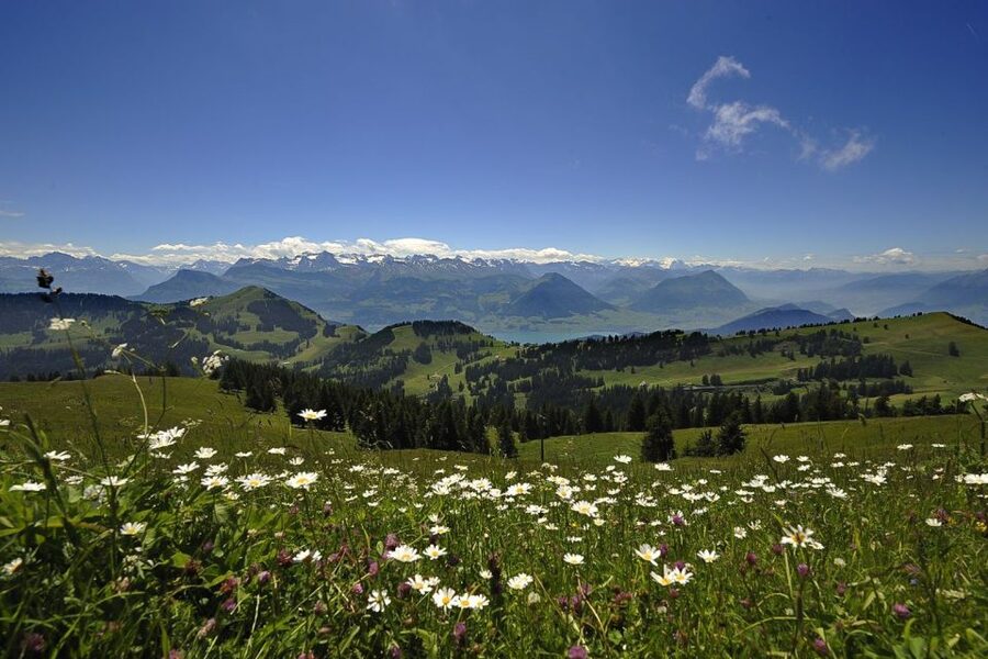 From Zurich: Day Trip to Rigi and Lake Lucerne - Weather, winter, and when the cable car is swapped