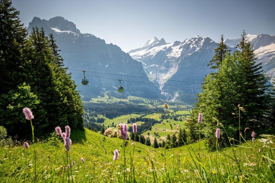 From Zurich: Grindelwald First Cable Car & Interlaken - Interlaken and Höhematte: Paragliders, Park Views, and Easy Walking