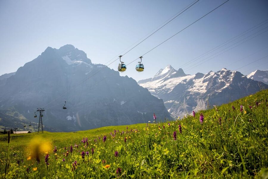 From Zurich: Grindelwald First Cable Car & Interlaken - Price and Value: Is $238 a Fair Deal for This 10-Hour Mix?