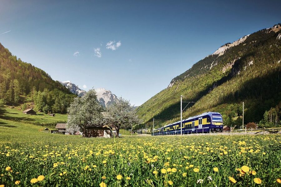 From Zurich: Grindelwald First Mountain Adventure Day Trip - Key takeaways before you go