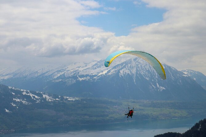 From Zurich: Interlaken and Grindelwald Private Day Tour - A Private Day From Zurich to Interlaken and Grindelwald