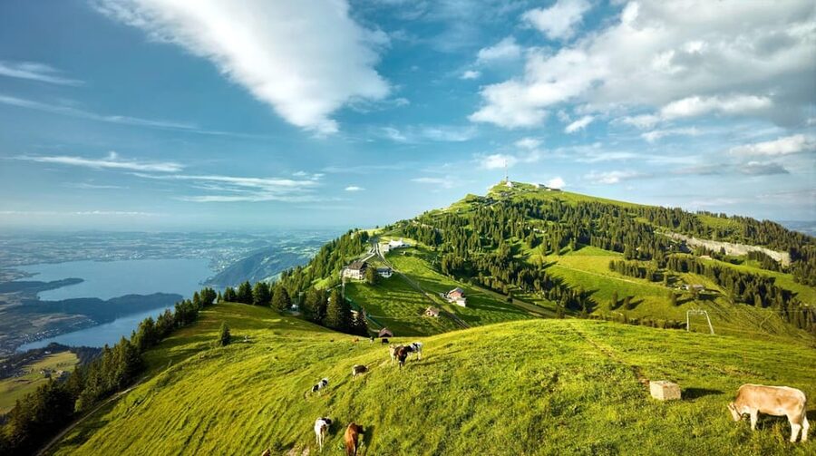 From Zurich: Mount Rigi and Lucerne Small-Group Day Trip - Weggis and the Cable Car Lift to Rigi Kaltbad