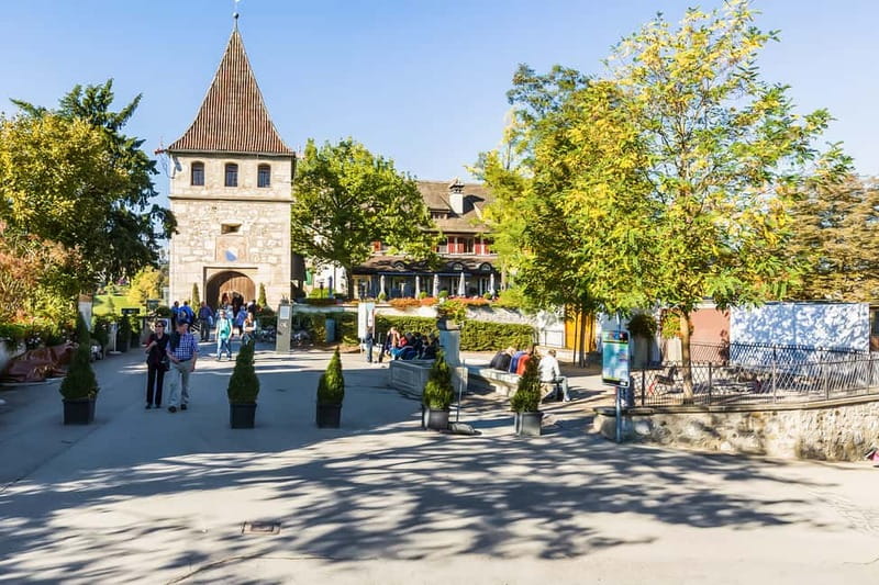 From Zurich: Rhine Falls Coach Tour with Entry Tickets - What you are paying for, and whether the boat is worth it