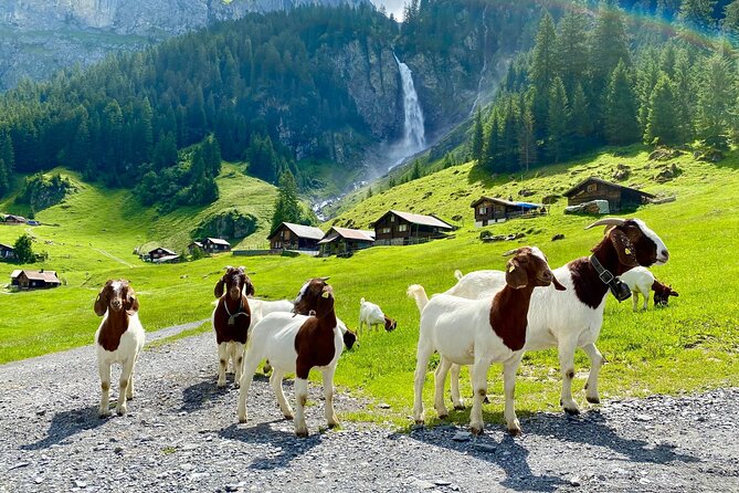 From Zurich: The most beautiful insider spots in Switzerland (private 1-day tour) - Altdorf and the canton of Uri: legends, old churches, and quiet valleys