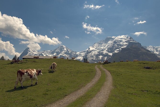 From Zurich to Top of Europe Jungfraujoch private tour - Interlaken in one hour: what to do and what to skip