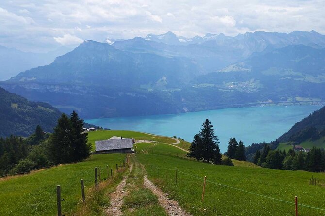 Full-Day Hiking Swiss Alps and Lake swim with Pick-up - From Lucerne to the Alps, Without the Stress