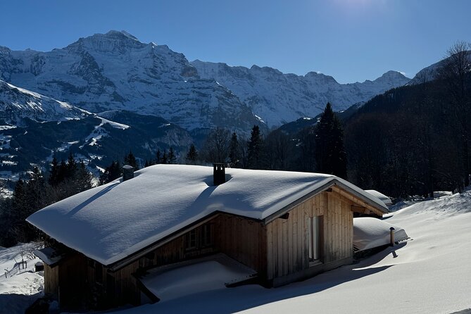 Full Day Luxury Private Tour in Swiss ALPS - Key reasons this private Swiss Alps tour is worth your attention