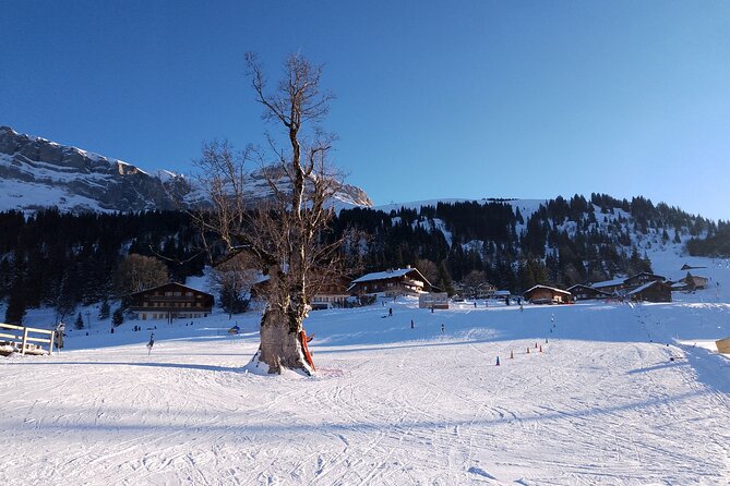Fully organized Ski Experience for Private Groups - Timing on the mountain: a half-day plan that leaves room for exploring
