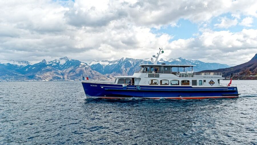 Geneva: 50-Minute Lake Geneva Cruise - Should you book the 50-minute Lake Geneva cruise?