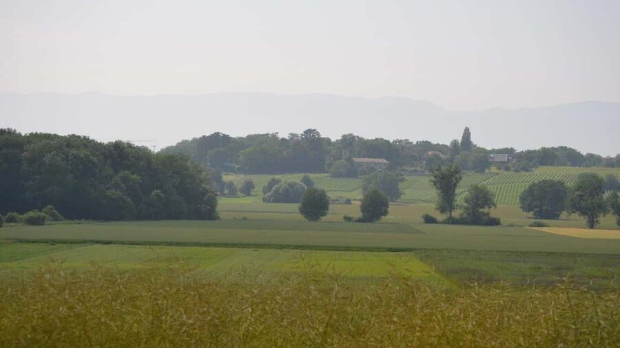 Geneva Countryside And Art Museum At A Castle Wine By E-Bike - Comfort and safety: what to bring, and what to wear when it rains