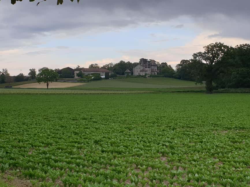 Geneva Countryside And Art Museum At A Castle Wine By E-Bike - The 60-minute tasting: six wines, bread, Gruyère, and how to get more out of it