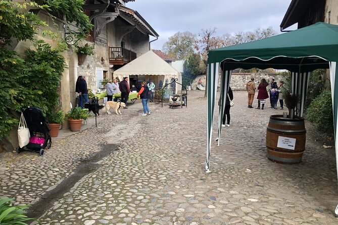 Geneva Countryside By E-Bike With Wine Tasting - Why This Geneva Countryside E-Bike Works So Well