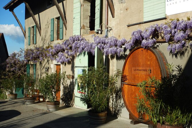Geneva Countryside By E-Bike With Wine Tasting - The First Stretch: Les Delices, Central Geneva, and Everyday City Life