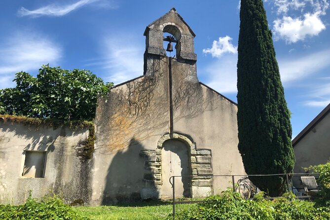 Geneva Countryside By E-Bike With Wine Tasting - Satigny Vineyards: The 8-Wine Tasting That Makes the Tour Worth It