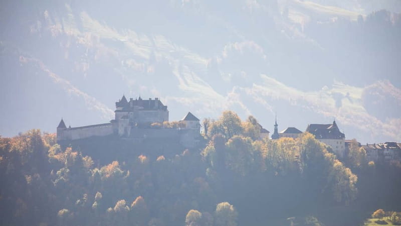 Geneva: Gruyères Tour with Chocolate, Cheese & Golden Train - Fondue lunch and cheese tasting: what is included, and how to enjoy it