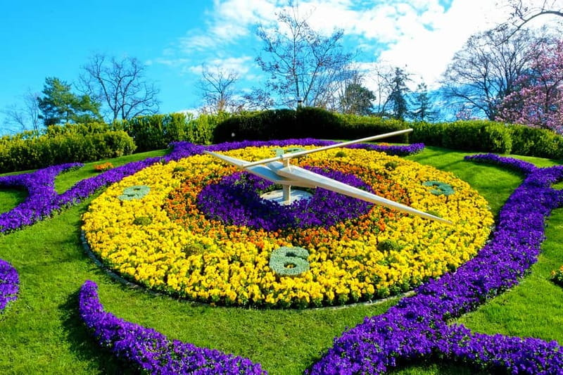 Geneva: Open-Top Sightseeing Bus Tour - Price and what you get for $34