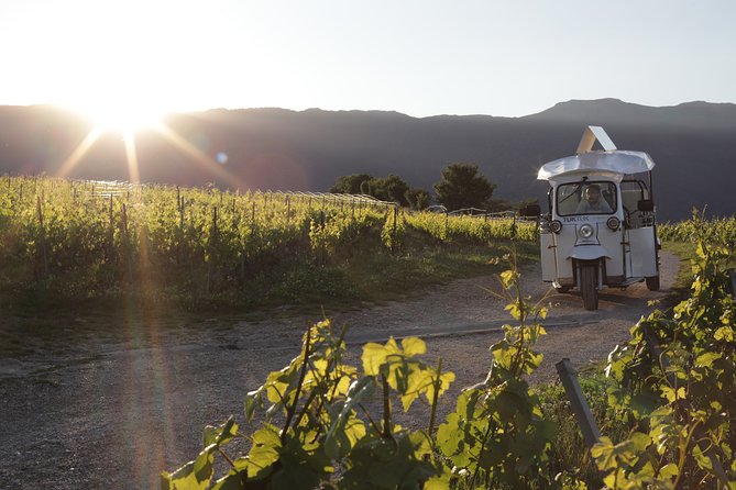 Geneva Panoramic & Tasting Vineyards Tour in an Tuk Tuk - Key things that make this tour worth your time