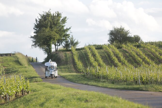 Geneva Panoramic & Tasting Vineyards Tour in an Tuk Tuk - Seasonal and practical tips for a smoother, nicer day