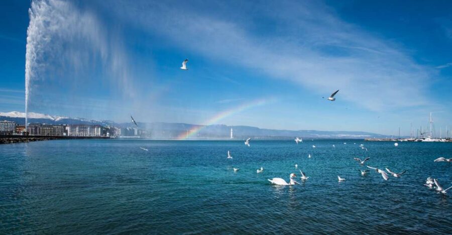 Geneva: Scenic Lake Cruise with Snacks and Wine - Setting Off From the Paquis Crane, Not the Yellow Boats