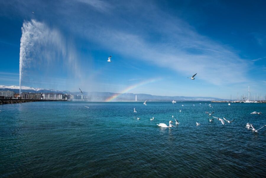Geneva: Scenic Lake Cruise with Snacks and Wine - Choosing the Best Time Slot for Calmer Water and Better Mood