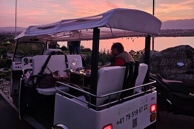 Geneva: Sightseeing of top Places Tour Electric TukTuk 1H15 tour - Why this electric TukTuk route works so well for limited Geneva time