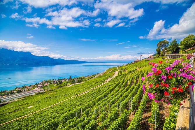 Geneva to Gruyère Private Day Trip. Cheese & Chocolate Tour - Price and value: what $554.44 buys you in real terms