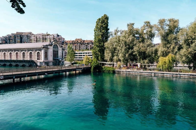 Geneva Walk & Cruise:The secrets of the Jet D'eau & apéritif - Halles de l’Île: from meat industry to a trendy brasserie