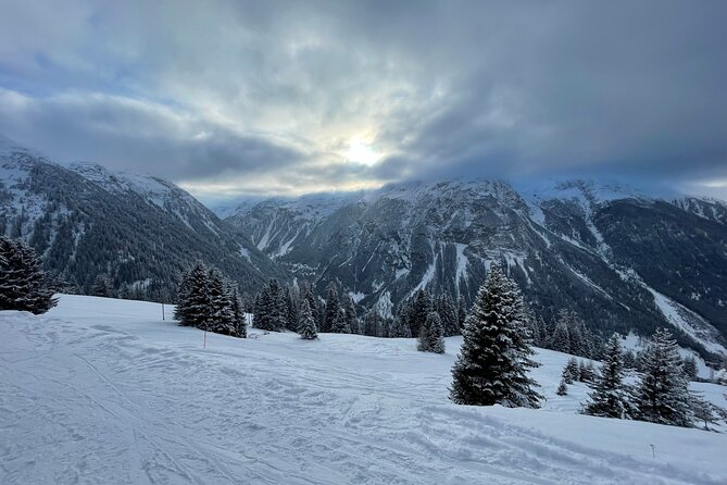 Glacier Express Route Private Tour - The Rhine Gorge: Switzerland’s Grand Canyon Moment