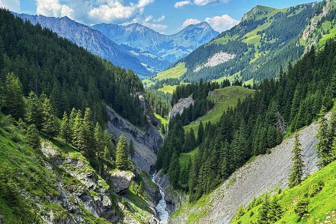 Griesalp UNESCO Alpine E-Bike Adventure from Interlaken - Quick hits before you go