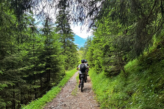 Griesalp UNESCO Alpine E-Bike Adventure from Interlaken - Guide touch, photos, and small extras that make the day memorable