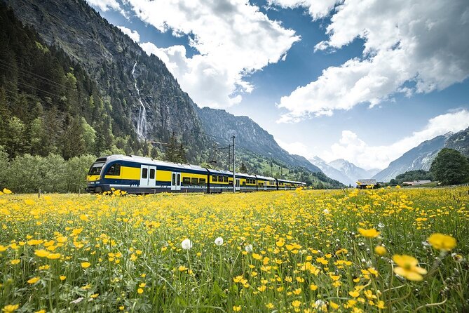 Grindelwald First - Top of Adventure from Lucerne - Leaving the guide in Grindelwald: you still get structure