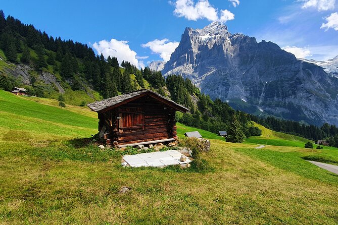 Grindelwald First (Top of Adventure) Ticket incl. Cliff Walk - Bergrestaurant First, Swiss food and a smart break plan